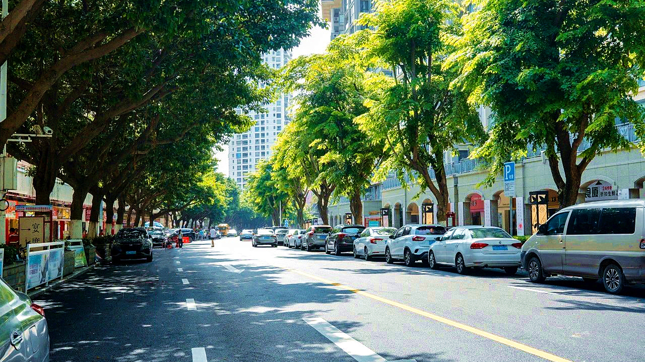 1694587592674889.jpg 樣板區(qū)域道路提升受好評(píng) (3).jpg